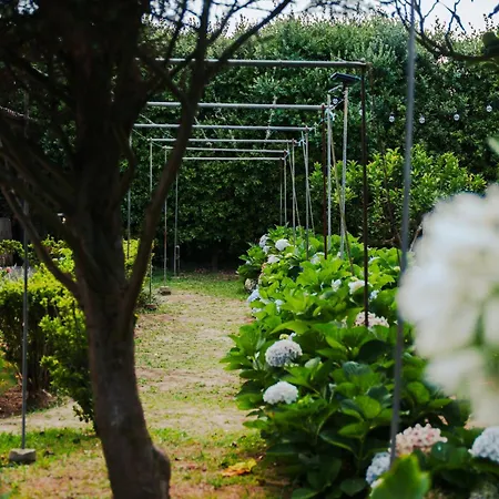 Vila Gils Experience