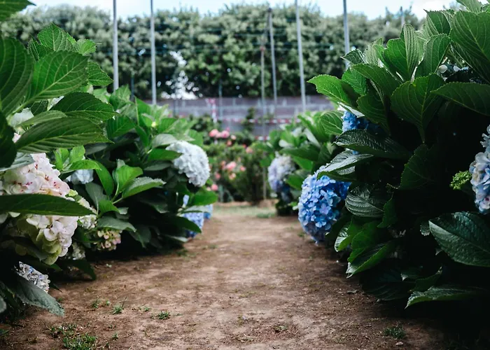 Gils Experience Villa Ribeira Grande