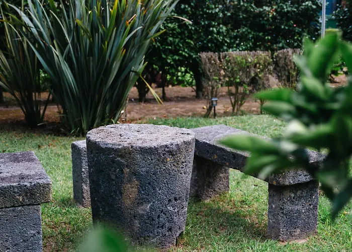 Gils Experience Ribeira Grande