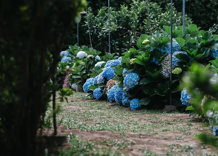 Gils Experience Ribeira Grande