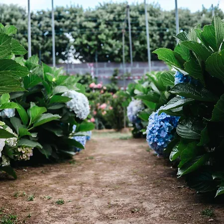 Gils Experience 빌라 리베라그란데