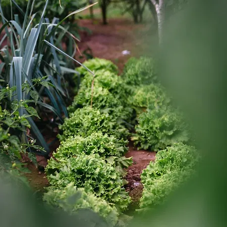 빌라 Gils Experience *