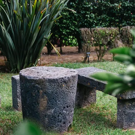 Gils Experience 大里贝拉