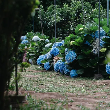 Gils Experience 리베라그란데