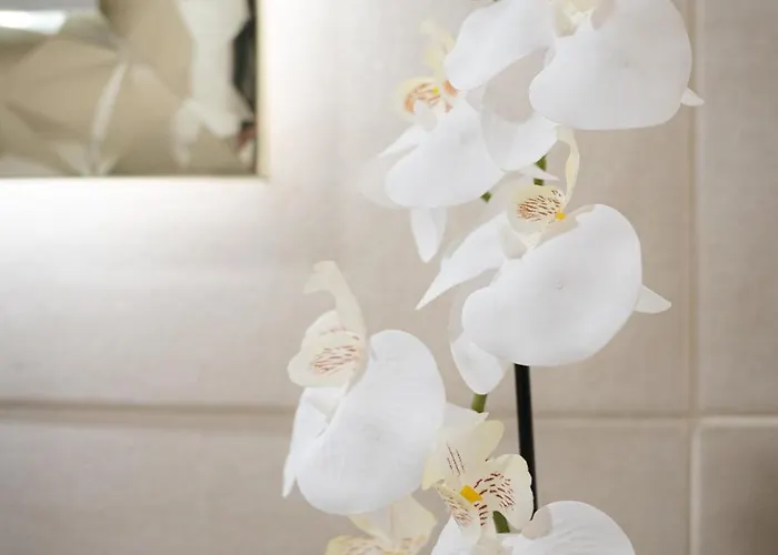 Villa Gils Experience *