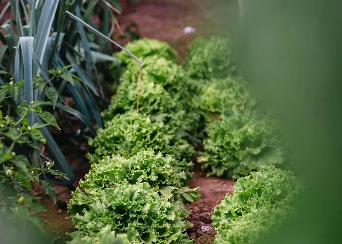 וילה Gils Experience *