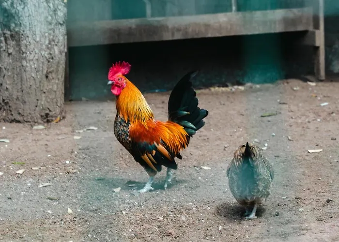 别墅 Gils Experience *